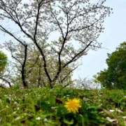 ヒメ日記 2026/04/07 18:56 投稿 長門明奈 ローテンブルク