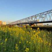 ヒメ日記 2026/04/08 22:29 投稿 長門明奈 ローテンブルク