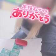 ヒメ日記 2024/12/29 00:43 投稿 ひめ 虹色メロンパイ 横浜店