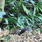 ヒメ日記 2025/02/09 12:45 投稿 ひめ 虹色メロンパイ 横浜店