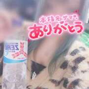 ヒメ日記 2025/02/17 00:06 投稿 ひめ 虹色メロンパイ 横浜店