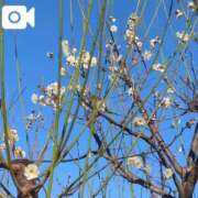 ヒメ日記 2025/02/06 19:24 投稿 みく 池袋おかあさん