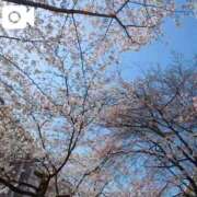 ヒメ日記 2025/03/30 14:03 投稿 みく 池袋おかあさん