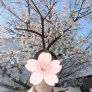 ヒメ日記 2025/04/05 09:59 投稿 みく 池袋おかあさん