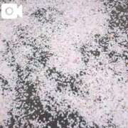 ヒメ日記 2025/04/06 15:20 投稿 みく 池袋おかあさん