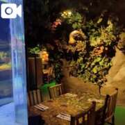 ヒメ日記 2025/07/05 19:14 投稿 みく 池袋おかあさん