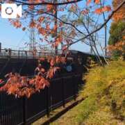 ヒメ日記 2025/11/30 14:24 投稿 みく 池袋おかあさん