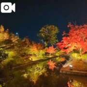 ヒメ日記 2025/11/30 22:27 投稿 みく 池袋おかあさん