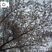 みく ラストチャンス！ 池袋おかあさん