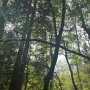 ヒメ日記 2025/05/11 06:44 投稿 りんこ 大阪人妻援護会