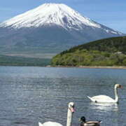 ヒメ日記 2025/05/12 22:29 投稿 りんこ 和歌山人妻援護会