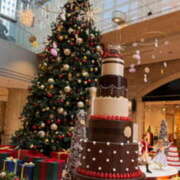 ヒメ日記 2025/11/30 08:48 投稿 りんこ 東大阪人妻援護会