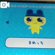 ヒメ日記 2025/06/26 21:08 投稿 れもん ごほうびSPA上野店