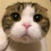 ヒメ日記 2024/12/10 13:50 投稿 ちはる Charme（シャルム）