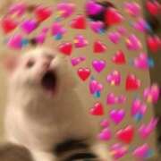 ヒメ日記 2025/04/20 19:42 投稿 ちはる Charme（シャルム）