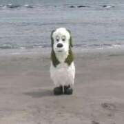 ヒメ日記 2025/06/11 19:02 投稿 ちはる Charme（シャルム）