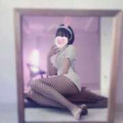 ここあ♡極上SPコース♡ お昼のうさぎさんは少しだけnaughty🐰💞 PANTHER（パンサー）