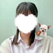 ヒメ日記 2025/02/13 09:12 投稿 みさ 2980円