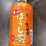 みさ おはようございます 2980円