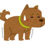 ヒメ日記 2025/06/15 09:55 投稿 まさこ 熟女の風俗最終章　越谷店