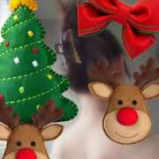 ヒメ日記 2024/12/17 22:18 投稿 吉澤　みゆか エテルナ京都