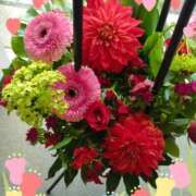 ヒメ日記 2025/04/09 22:31 投稿 吉澤　みゆか エテルナ京都