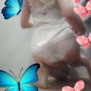 ヒメ日記 2025/11/20 12:04 投稿 吉澤　みゆか エテルナ京都