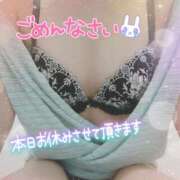 ヒメ日記 2025/06/16 16:19 投稿 はづき 山梨甲府甲斐ちゃんこ