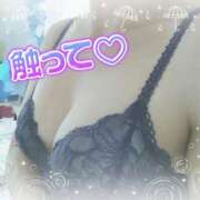 ヒメ日記 2025/08/03 15:39 投稿 はづき 山梨甲府甲斐ちゃんこ