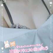 ヒメ日記 2025/11/04 15:11 投稿 はづき 山梨甲府甲斐ちゃんこ