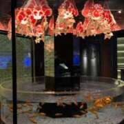 ヒメ日記 2025/03/31 23:14 投稿 あきな 奥さま未来　立川店