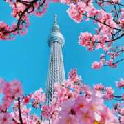 ヒメ日記 2025/04/09 14:40 投稿 あきな 奥さま未来　立川店