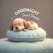 ヒメ日記 2025/08/18 23:36 投稿 あきな 奥さま未来　立川店