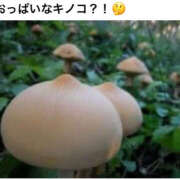 ヒメ日記 2025/09/16 09:29 投稿 あきな 奥さま未来　立川店