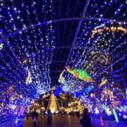 ヒメ日記 2025/11/27 00:24 投稿 あきな 奥さま未来　立川店