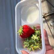 ヒメ日記 2026/03/05 22:59 投稿 あきな 奥さま未来　立川店