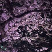 ヒメ日記 2026/03/31 00:09 投稿 あきな 奥さま未来　立川店