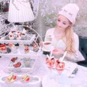 ヒメ日記 2024/12/10 08:16 投稿 セリ チューリップ福井本館