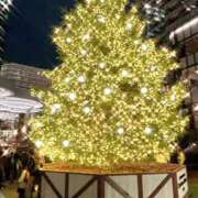 ヒメ日記 2024/12/28 12:54 投稿 セリ チューリップ福井本館