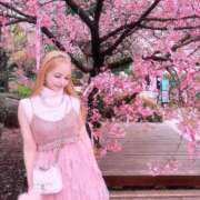 ヒメ日記 2025/03/18 12:14 投稿 セリ チューリップ福井本館