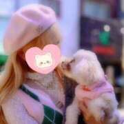 ヒメ日記 2025/03/20 11:14 投稿 セリ チューリップ福井本館