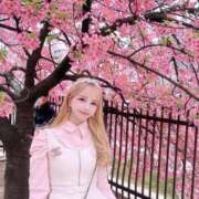 ヒメ日記 2025/04/07 05:54 投稿 セリ チューリップ福井本館