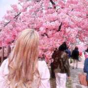 ヒメ日記 2025/04/15 10:54 投稿 セリ チューリップ福井本館