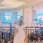 ヒメ日記 2025/09/12 08:44 投稿 セリ チューリップ福井本館