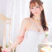 ヒメ日記 2025/09/13 16:27 投稿 セリ チューリップ福井本館