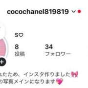 セリ インスタ作りました🩷 チューリップ福井本館