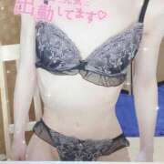 ヒメ日記 2024/12/12 19:25 投稿 せな♡期待度MAXの激美少女♡ 即生専門店ゴッドパイ