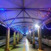 ヒメ日記 2024/12/10 18:20 投稿 ふみ 人妻小旅行