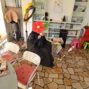 ヒメ日記 2025/01/17 18:20 投稿 ふみ 人妻小旅行