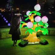 ヒメ日記 2025/02/11 19:02 投稿 ふみ 人妻小旅行